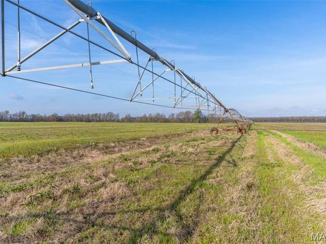 Farm for sale in East Prairie, Missouri
