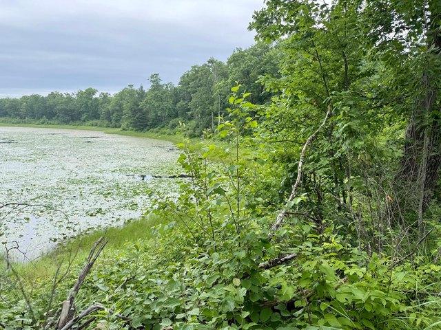Land for sale in Longville, Minnesota