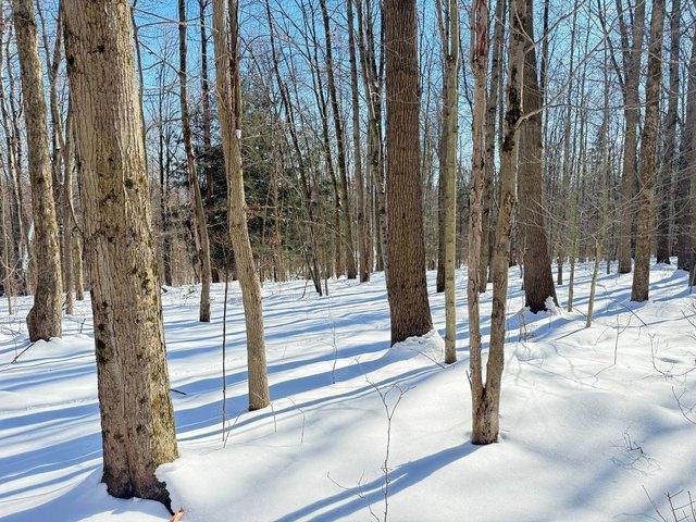 Land for sale in Crawford, Pennsylvania