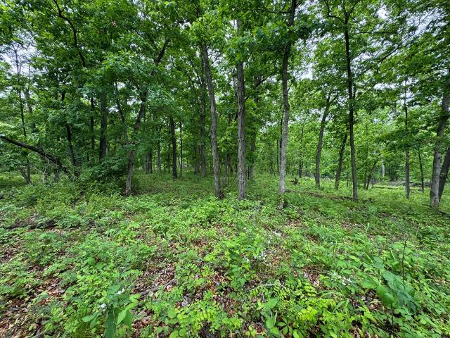 Land for sale in Adair, Missouri