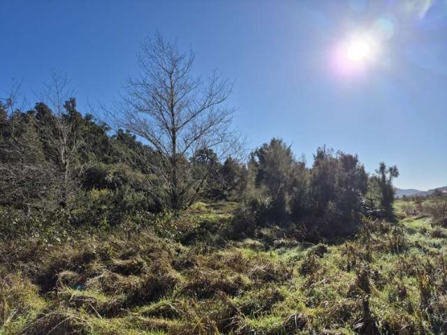 Land for sale in Franz Josef, West Coast
