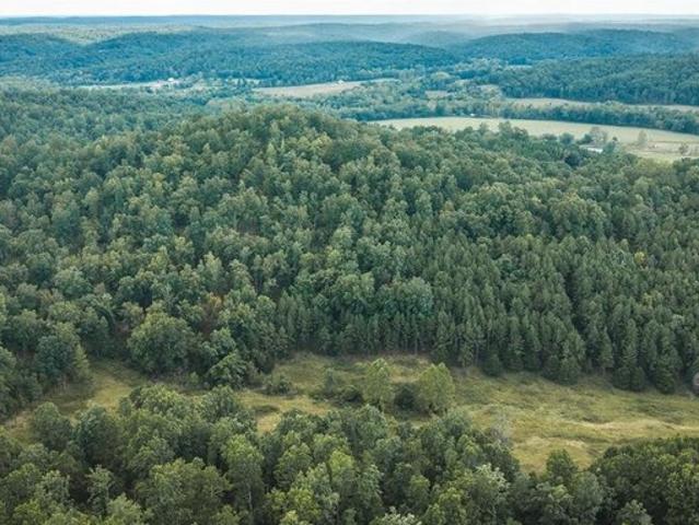Land for sale in Ellington, Reynolds County