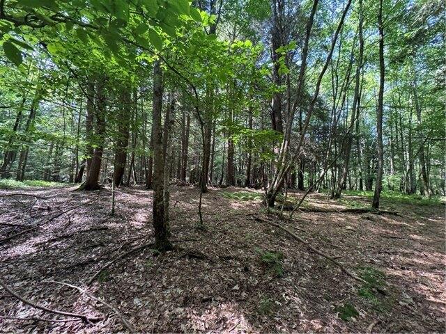 Land for sale in Oneonta