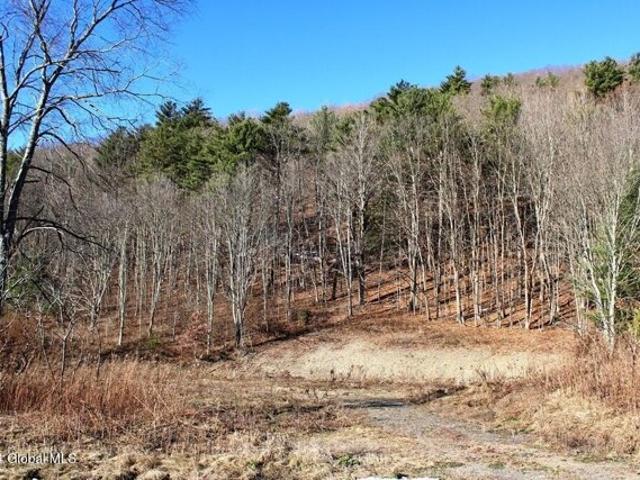 Land for sale in Schenevus