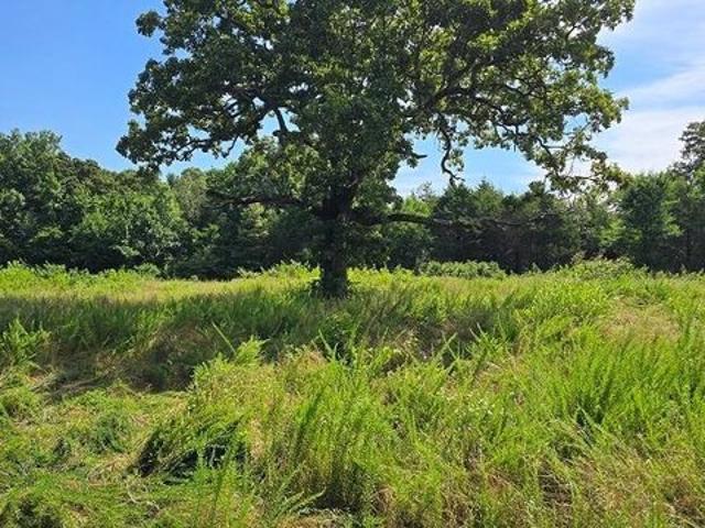 Land for sale in Doniphan, Missouri