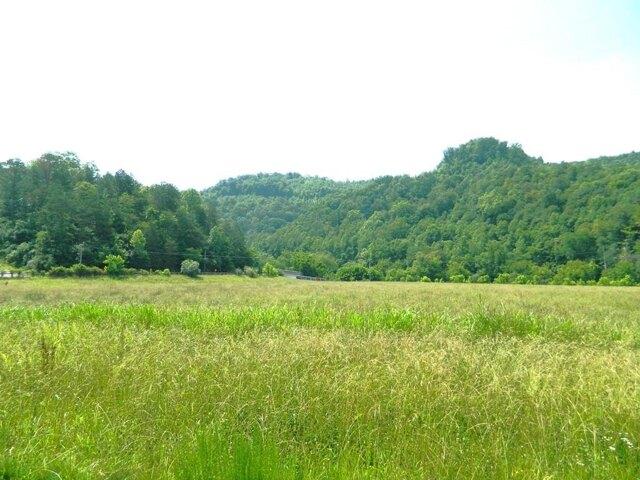 Land for sale in Pikeville
