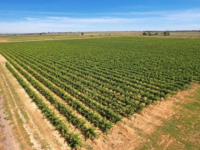 Land for sale in Walnut Grove, California