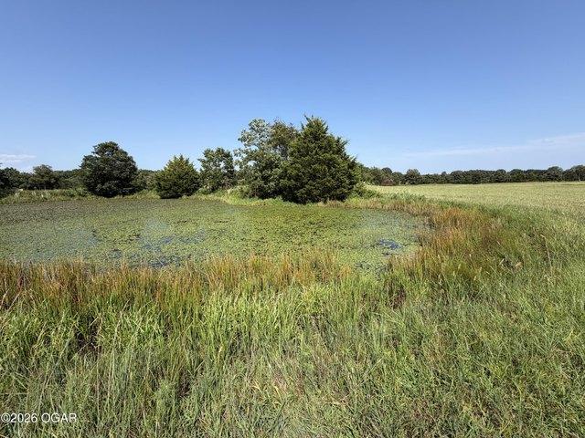 Land for sale in Seneca, Newton County