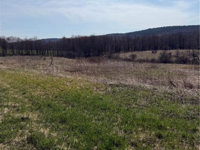 Land for sale in Pitcher, New York
