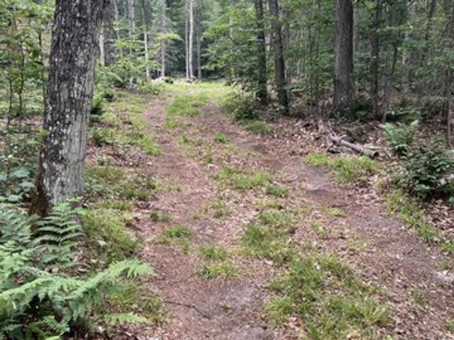 Land for sale in Newberry, Michigan