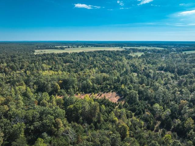 Farm for sale in Phelps, Missouri
