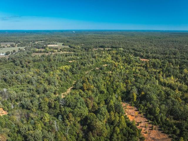 Farm for sale in Phelps, Missouri