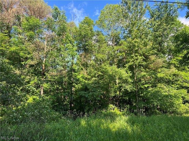 Land for sale in Conneaut, Ohio