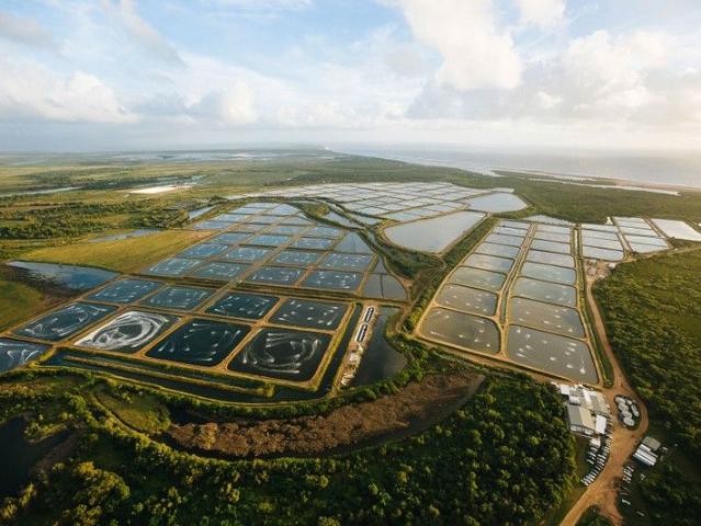 Cottage for sale in Alva, Queensland