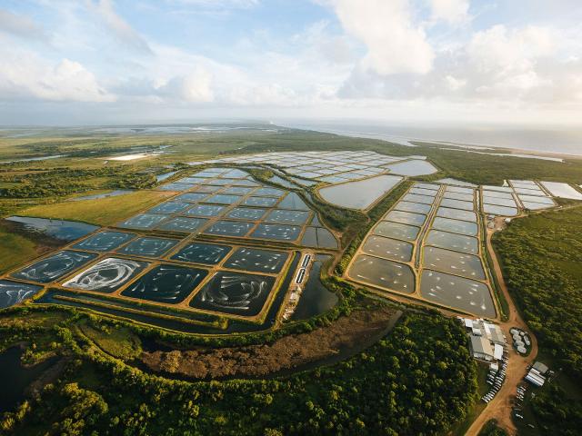 Property for sale in Alva, Queensland