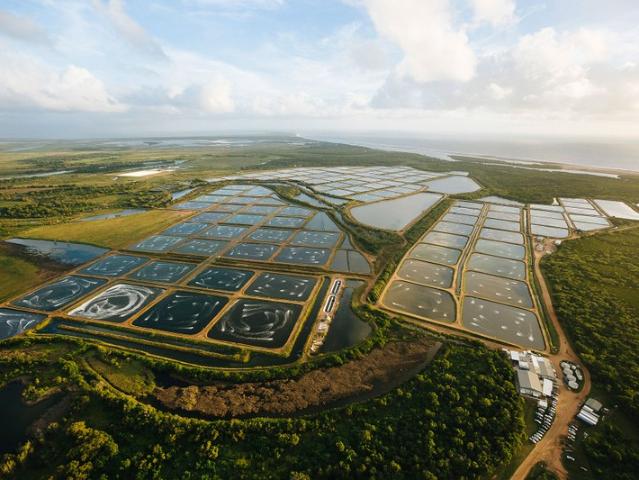 Property for sale in Alva, Queensland