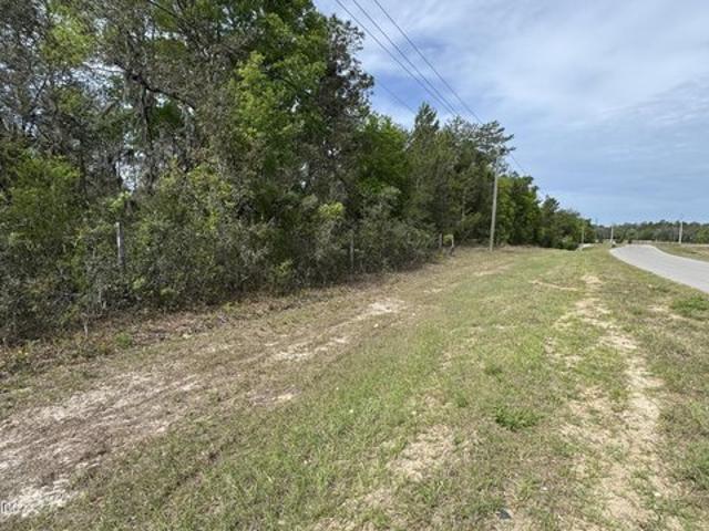Land for sale in Interlachen, Putnam County