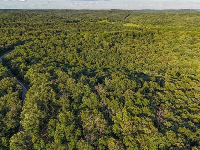Land for sale in Callaway, Missouri