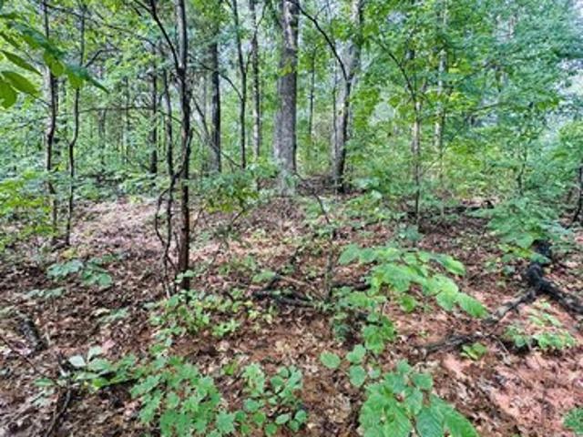 Land for sale in Bloomfield, Indiana