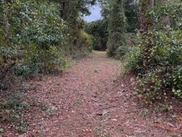 Land for sale in Groveland