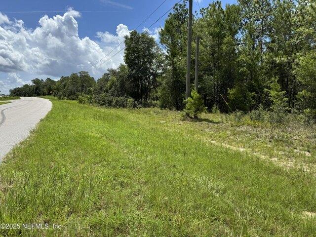 Land for sale in Interlachen, Florida