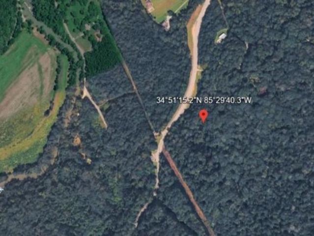 Land for sale in Rising Fawn, Georgia