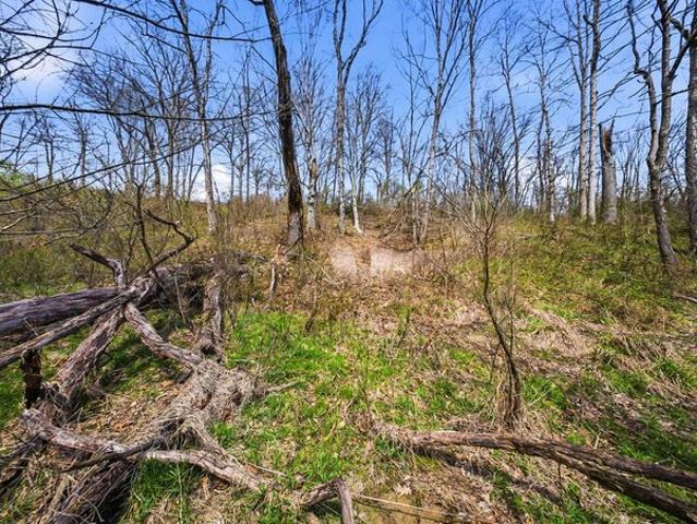 Farm for sale in Corning, Perry County