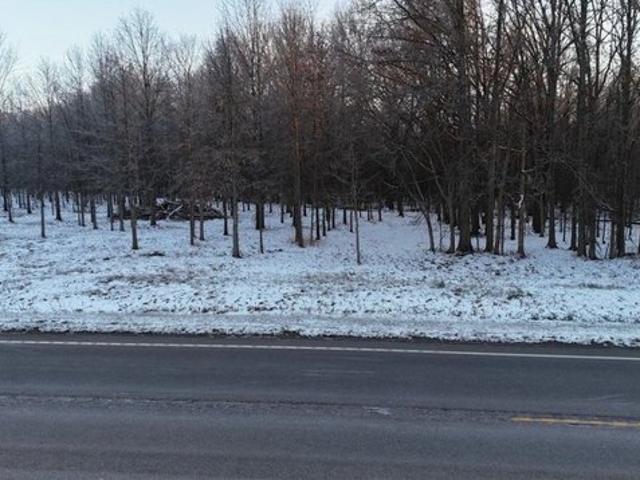 Land for sale in Deerfield, Portage County