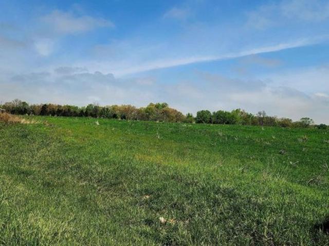 Land for sale in Creal Springs, Illinois