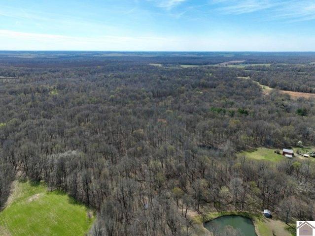 Land for sale in Fancy Farm, Kentucky