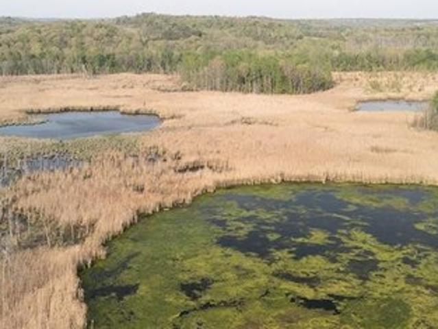 Land for sale in Drakesboro, Kentucky