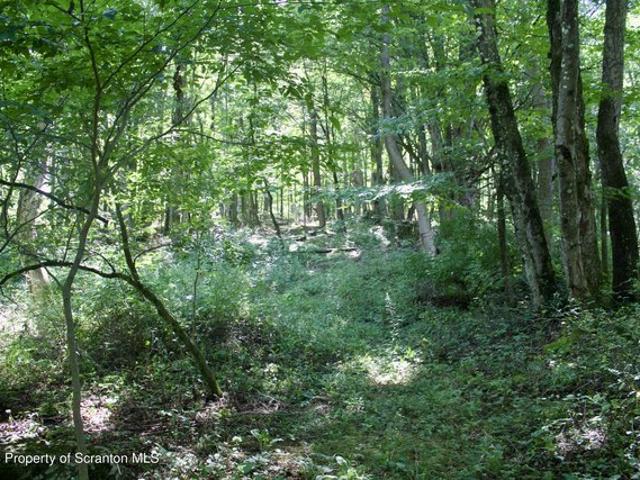 Land for sale in Union Dale, Pennsylvania