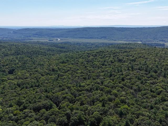 Land for sale in Wurtsboro, New York
