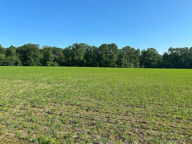 Farm for sale in Clermont, Ohio