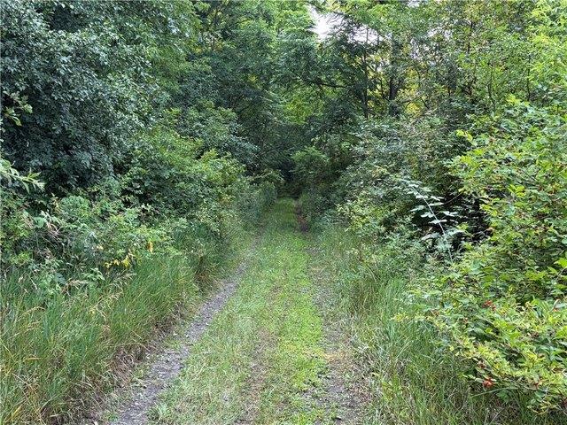 Land for sale in Catharine, New York