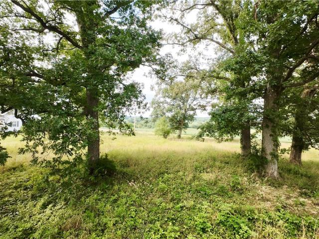 Land for sale in Shreve, Ohio