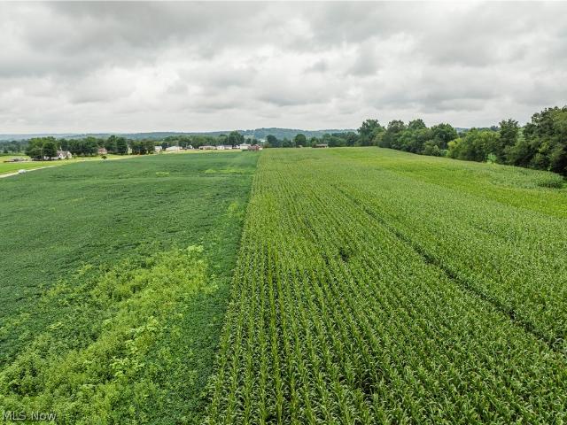 Land for sale in Shreve, Ohio