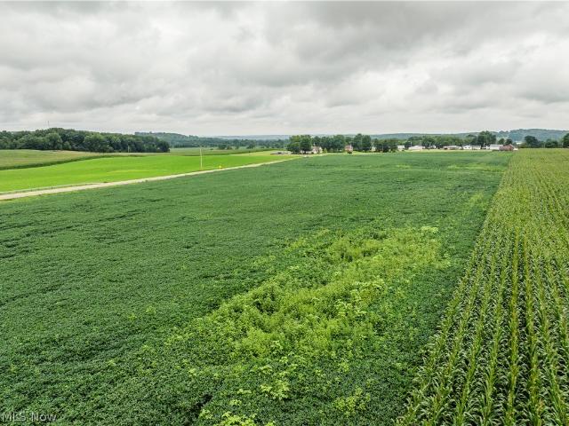 Land for sale in Shreve, Ohio