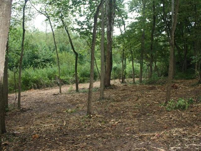 Land for sale in Ostrander, Delaware County