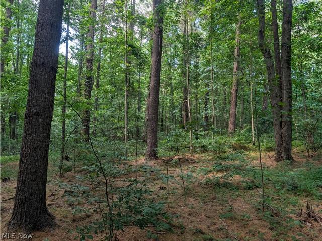 Land for sale in Beallsville, Ohio