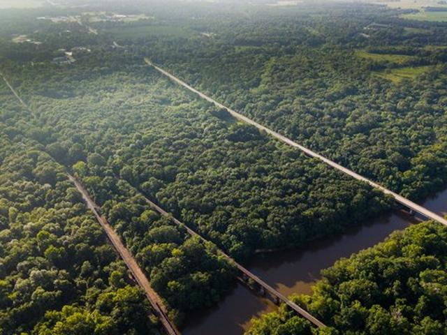 Land for sale in Montezuma, Georgia