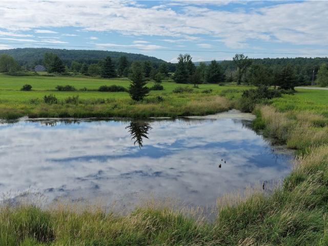 Land for sale in Town of Gilboa, Schoharie County