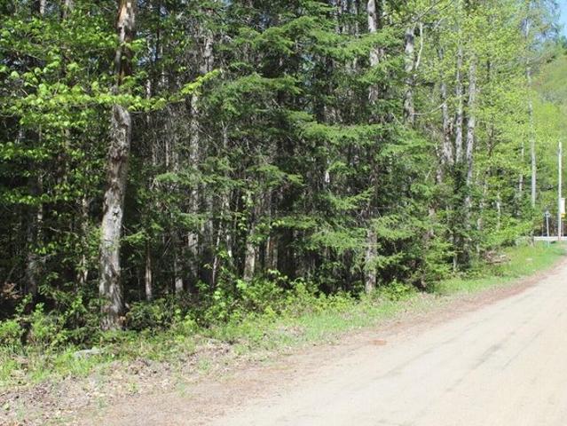Land for sale in Indian Lake, New York