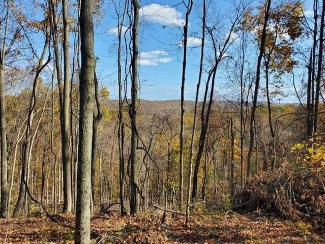 Land for sale in Nelsonville, Athens County