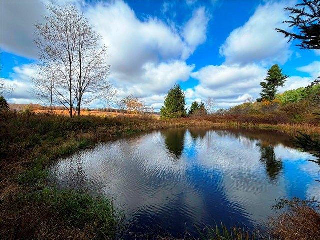 Farm for sale in Village of Sherburne, Town of Sherburne