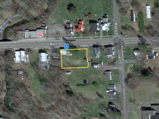 House for sale in Cayuga, New York
