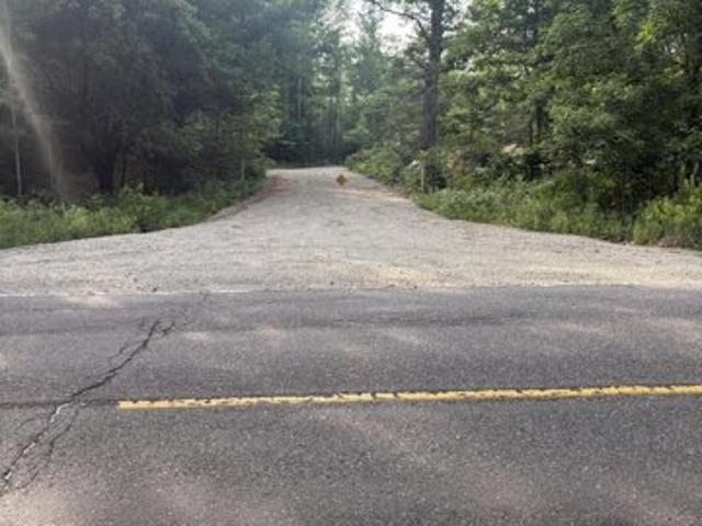 Land for sale in Orland, Maine
