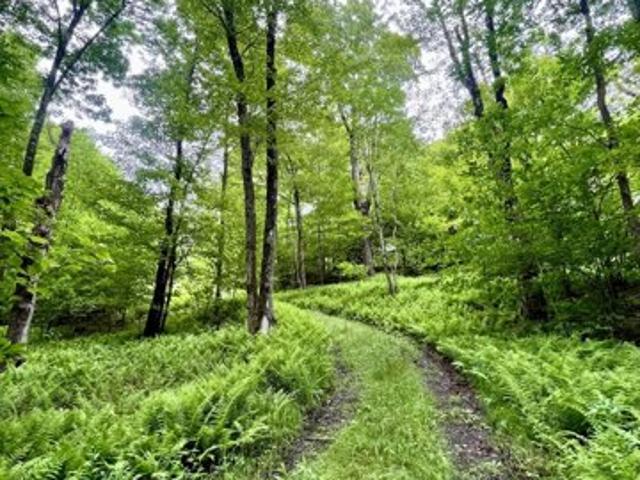 Land for sale in Jefferson Land for sale in Jefferson