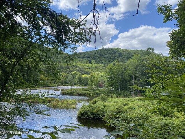Land for sale in Northville