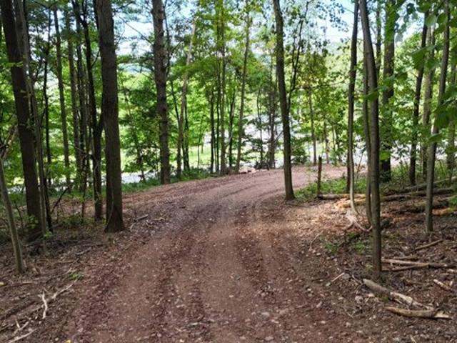 Land for sale in Paxinos